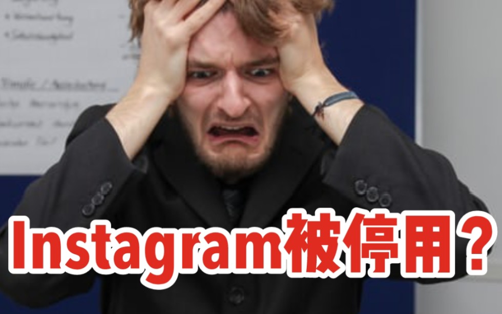 Instagram被停用了怎么办?申诉入口来了哔哩哔哩bilibili