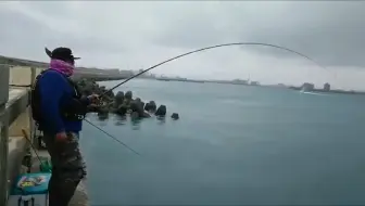 防波堤矶钓 品种不少 钓鱼人今晚的下酒菜就齐全了 哔哩哔哩 Bilibili