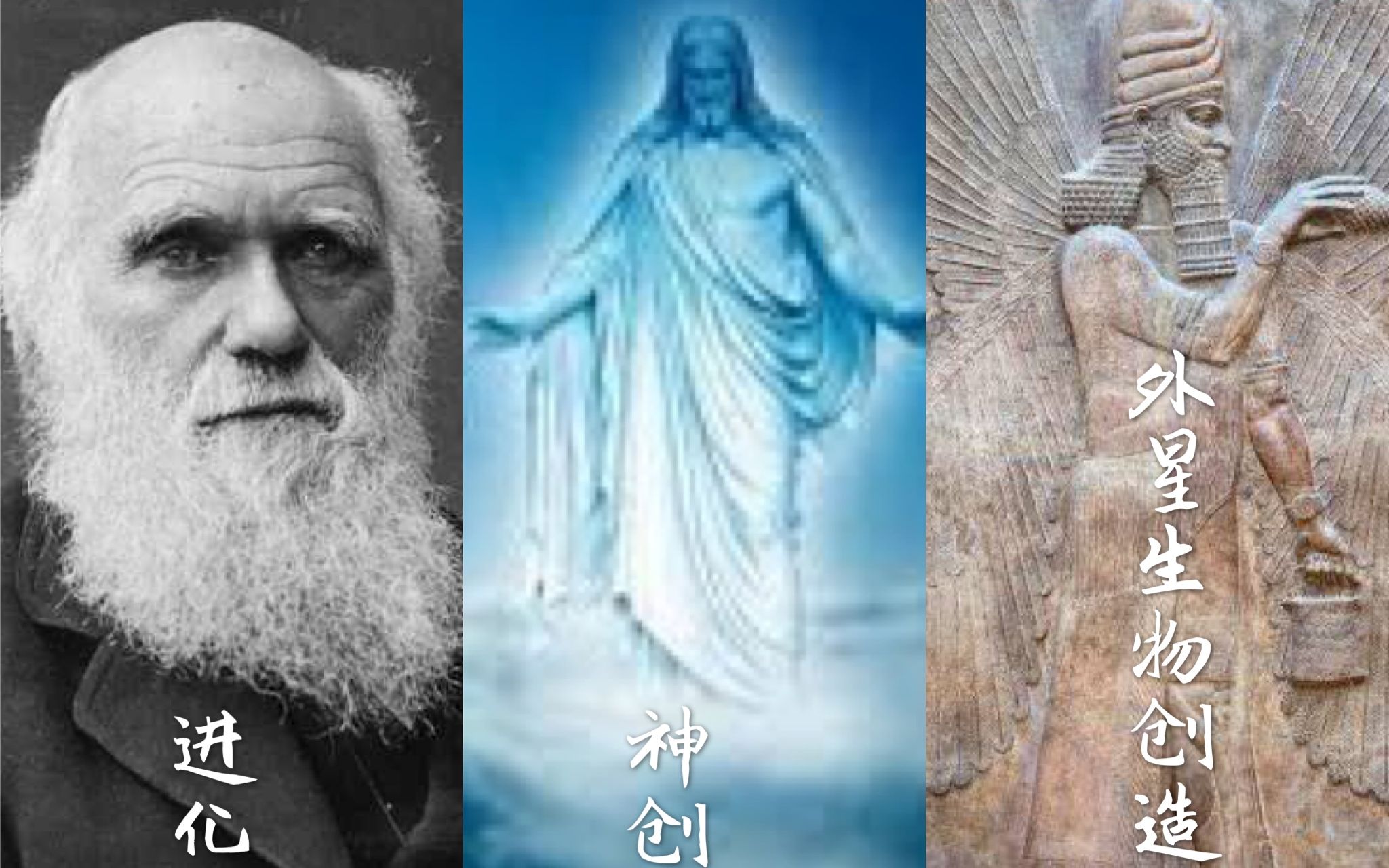 人类的起源趣谈进化神创还是外星生物创造