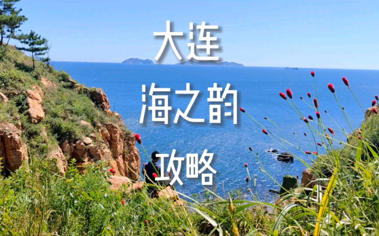 大连海之韵公园游玩攻略哔哩哔哩bilibili