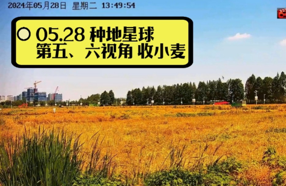 最后换回第三视角(即今天开始收小麦的第三个工位)虽说都是像素小人