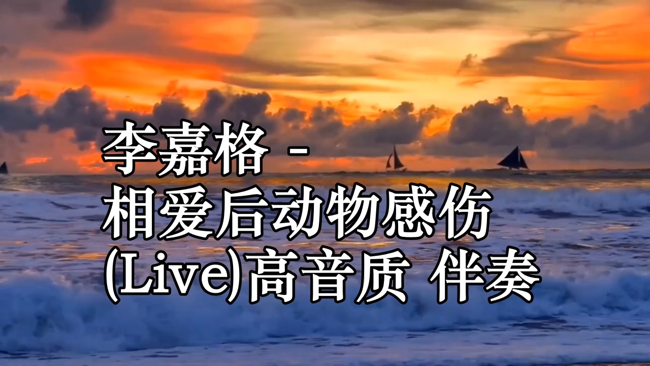 李嘉格 - 相爱后动物感伤 (live)高音质 伴奏