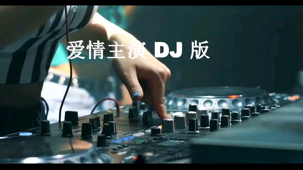 dj爱情主演图片