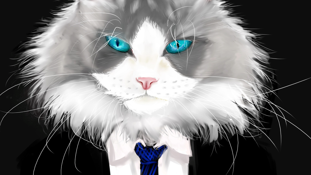 新手板绘穿西装的猫