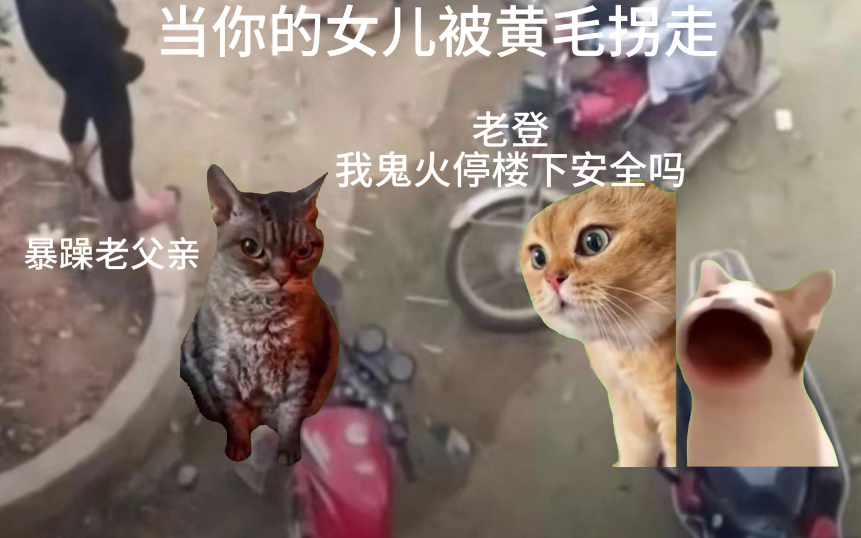 [图]【猫猫meme】当我⚡️女儿⚡️被⚡️黄毛⚡️拐走