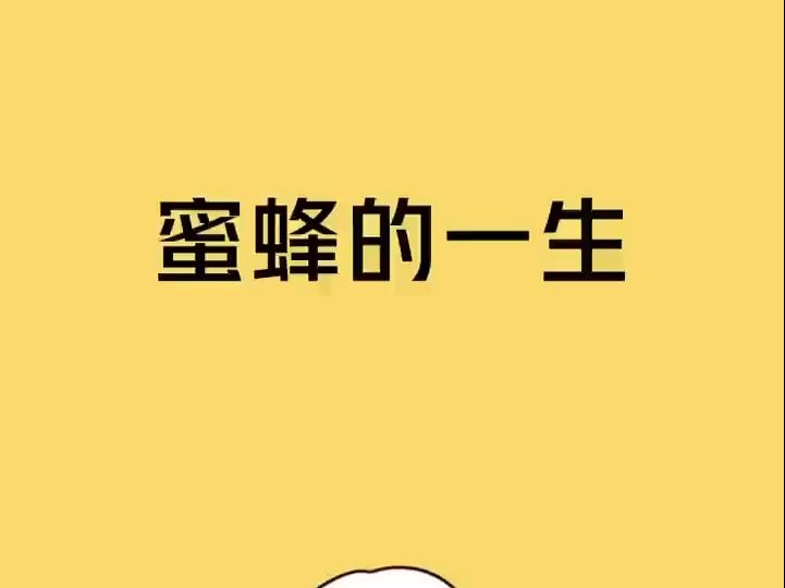 看看你知道多少哔哩哔哩bilibili