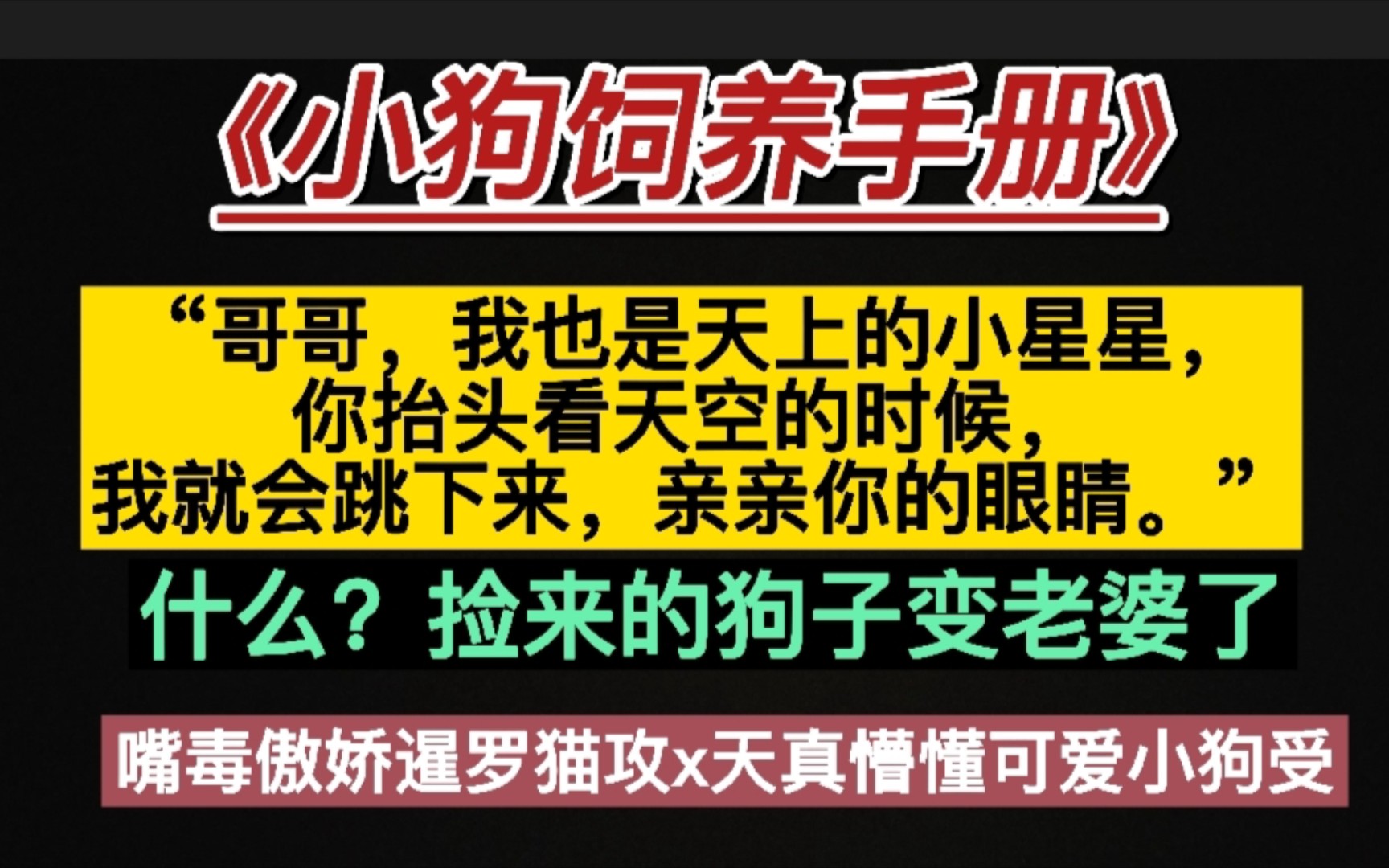 原耽推文《小狗饲养手册》作者:麦香鸡呢哔哩哔哩bilibili