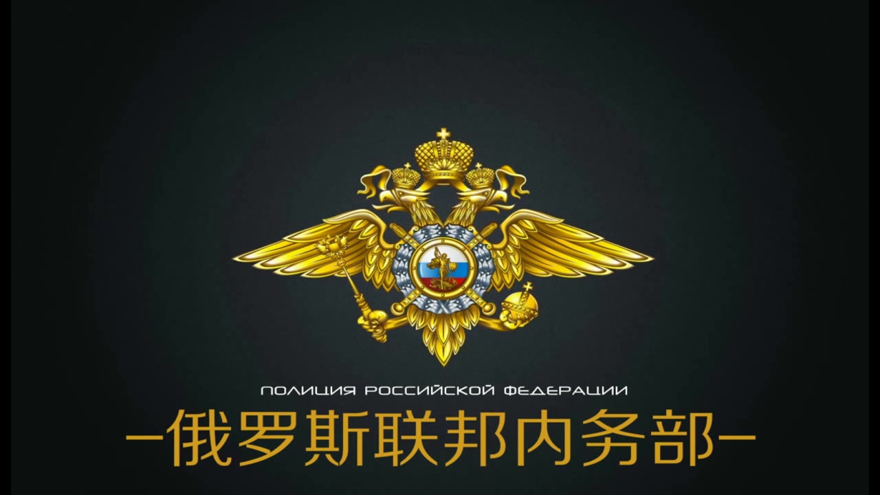 俄罗斯联邦内务部奥摩分队抓捕一名团伙头目