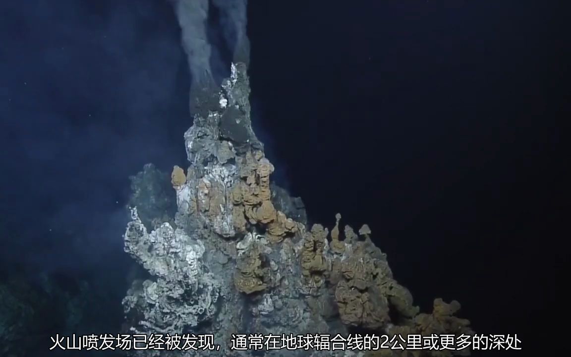 热液喷口深海中的绿洲mp4