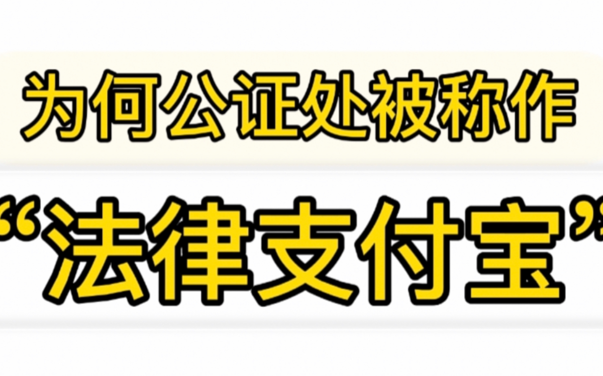 【李老师普法】为何公证处被称作“法律支付宝”?哔哩哔哩bilibili