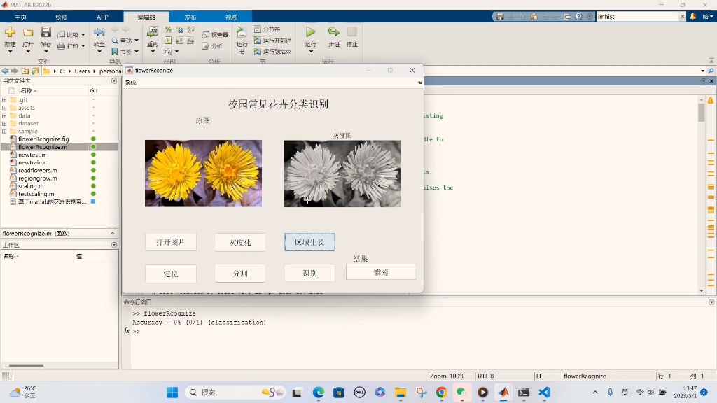 基于Matlab的花卉识别系统哔哩哔哩bilibili