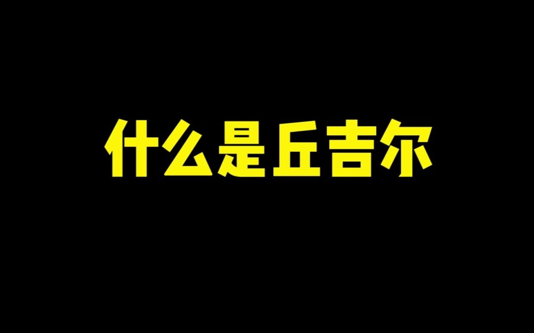 《什么是丘吉尔?》哔哩哔哩bilibili