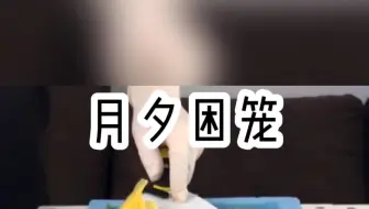 《月夕困笼》