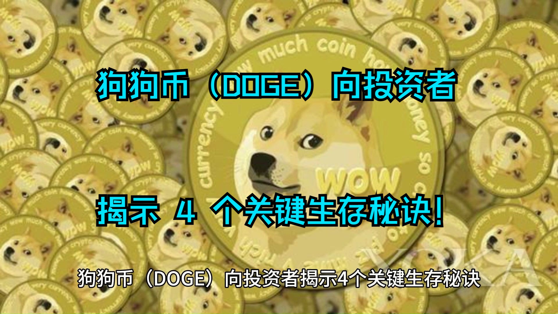 狗狗币(DOGE)向投资者揭示 4 个关键生存秘诀哔哩哔哩bilibili