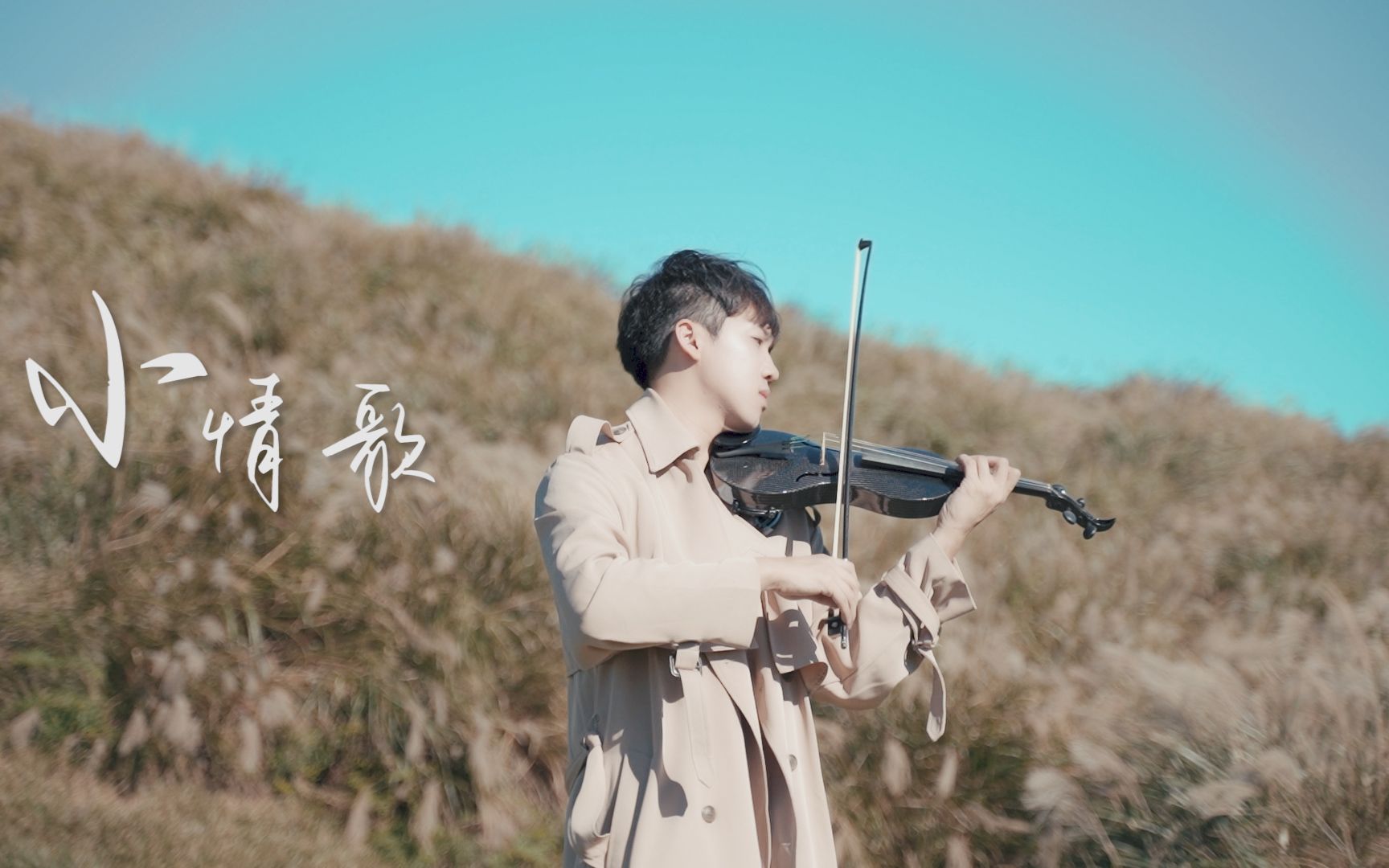 [图]蘇打綠《小情歌》小提琴版本 | Violin【Cover by AnViolin】