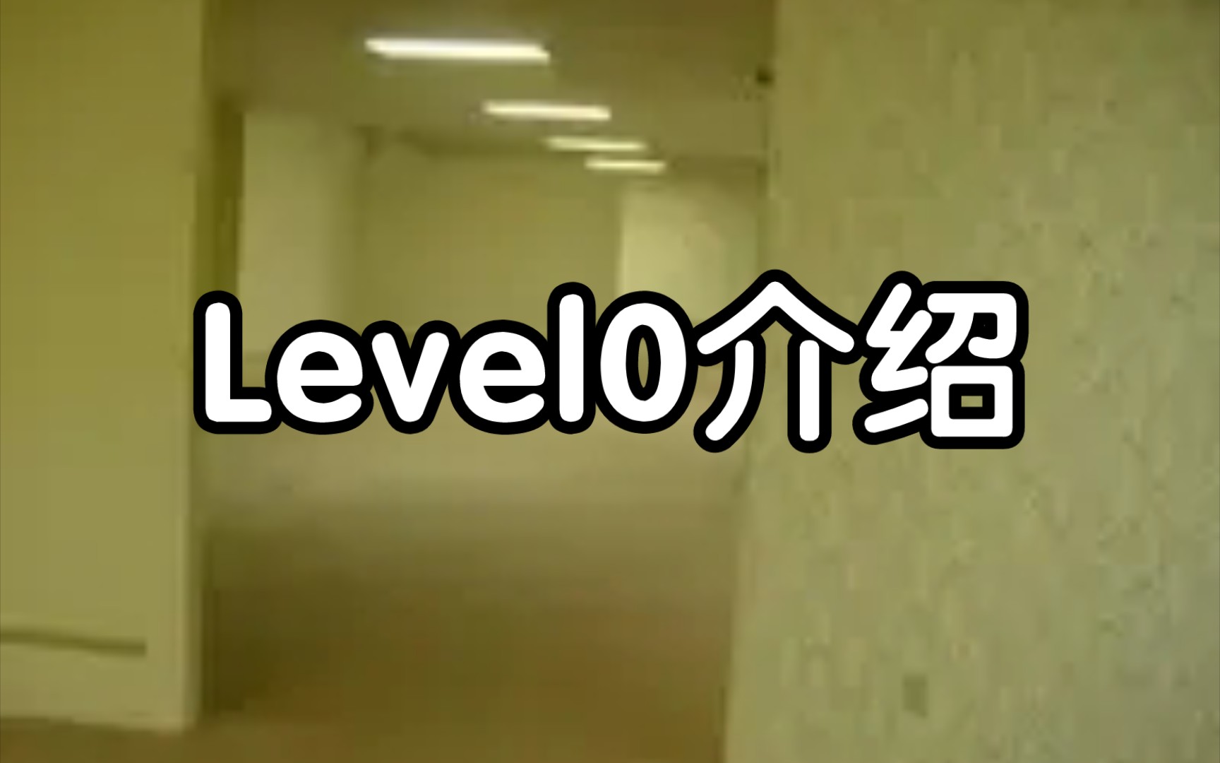 Level0介绍哔哩哔哩bilibili