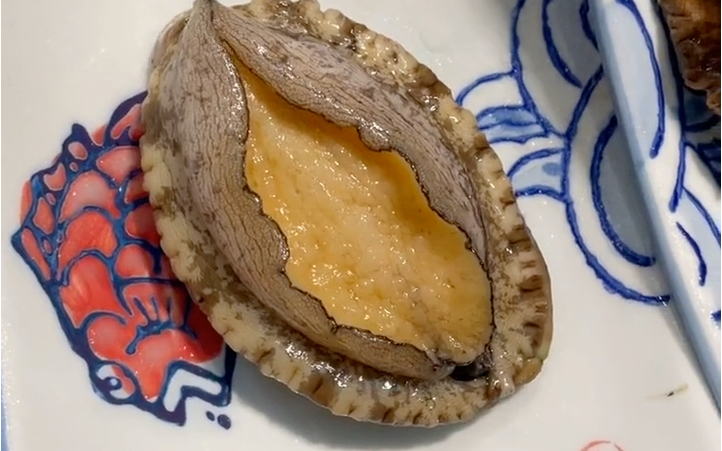 会动的鲍鱼太可爱了吧