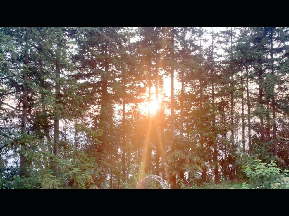 竹境云屋,住进云雾.