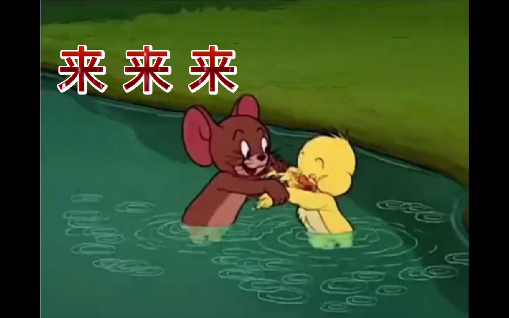 当鸭子学会游泳哔哩哔哩bilibili