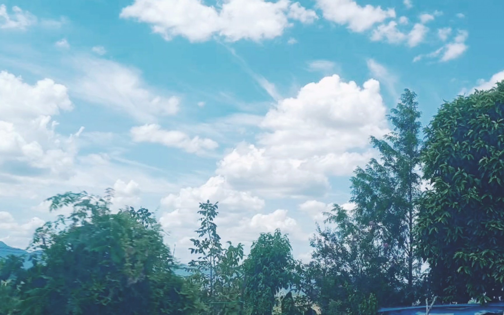 "夏日小城风情:不一样的风景,一样的温馨"