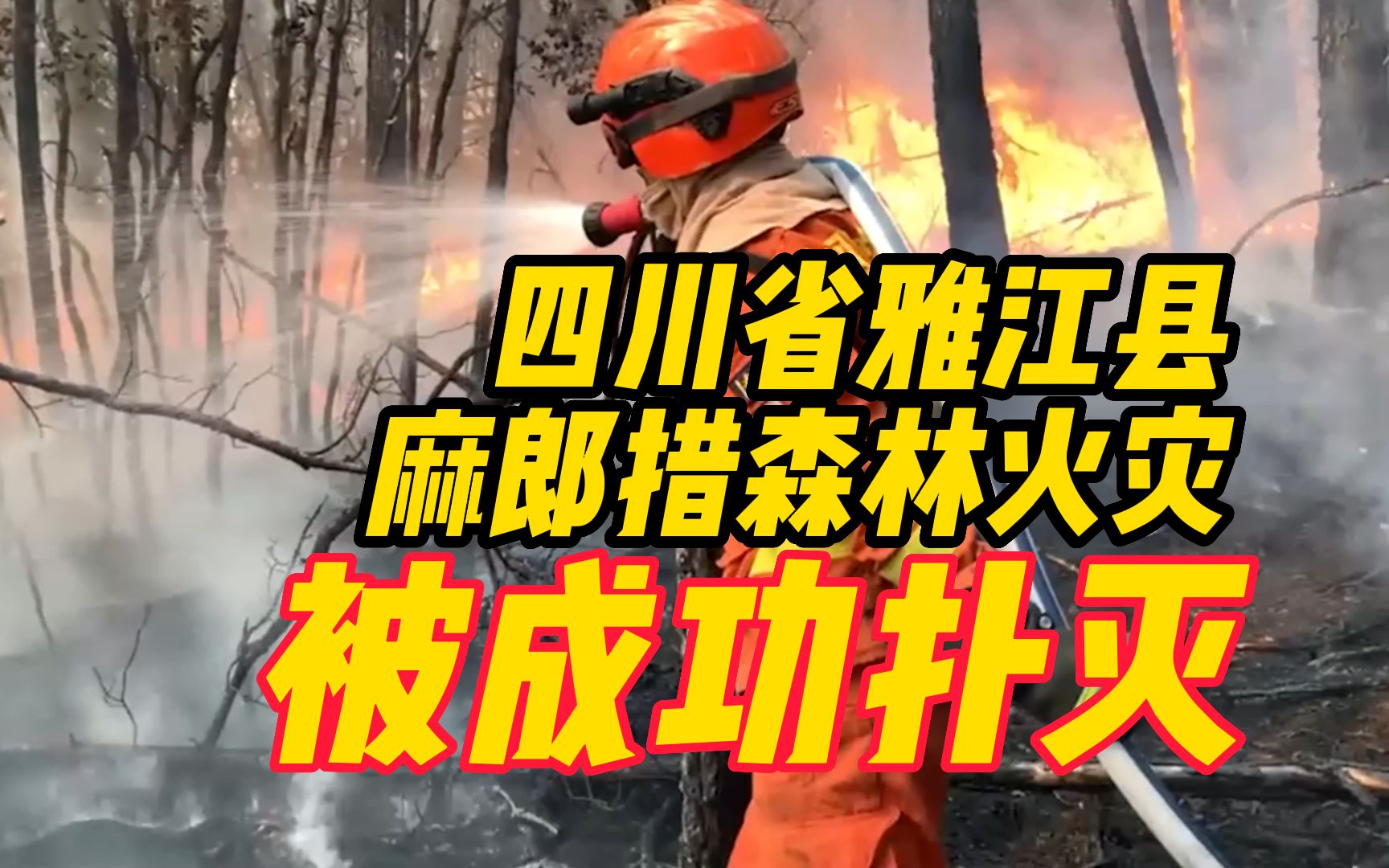 四川雅江森林火灾起火原因初步查明 系施工动火作业引发
