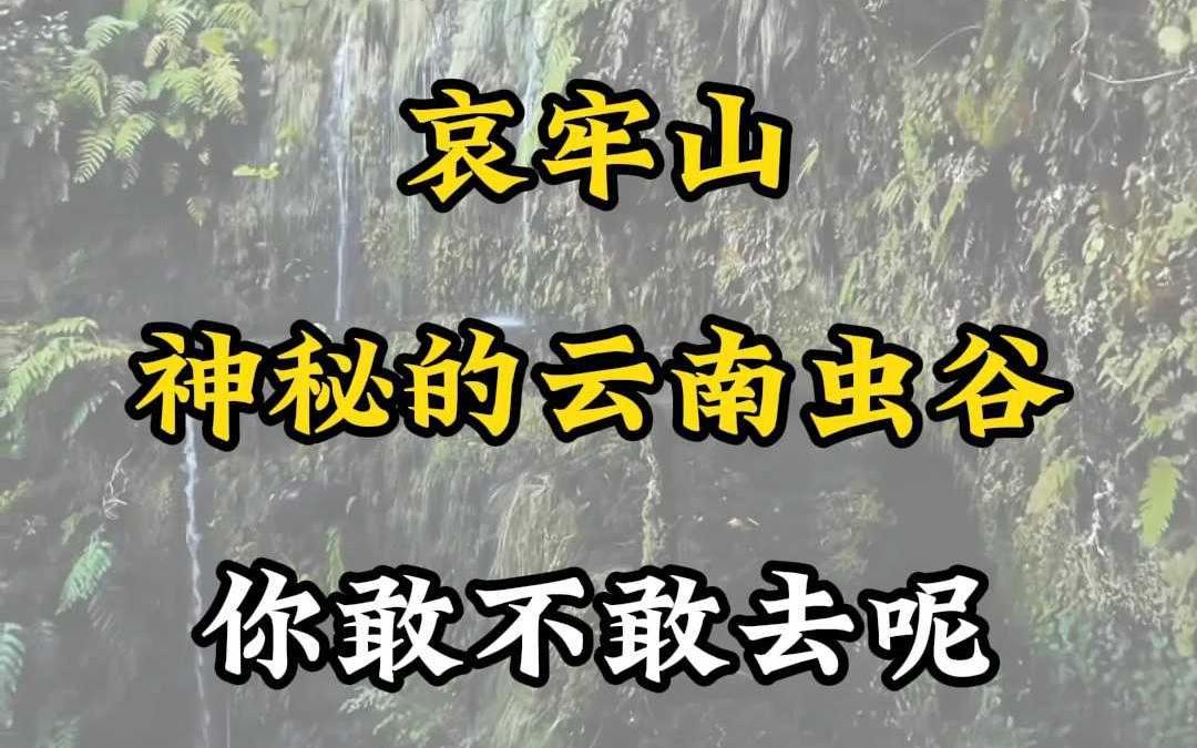 神秘的云南虫谷,最近因为“山取”视频备受关注,这样的美景,你敢不敢去呢?哔哩哔哩bilibili