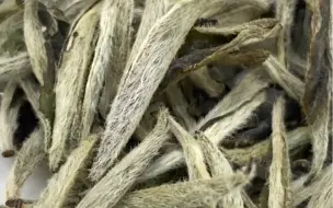 下载视频: 有的茶叶只看干茶就知道是什么水平了