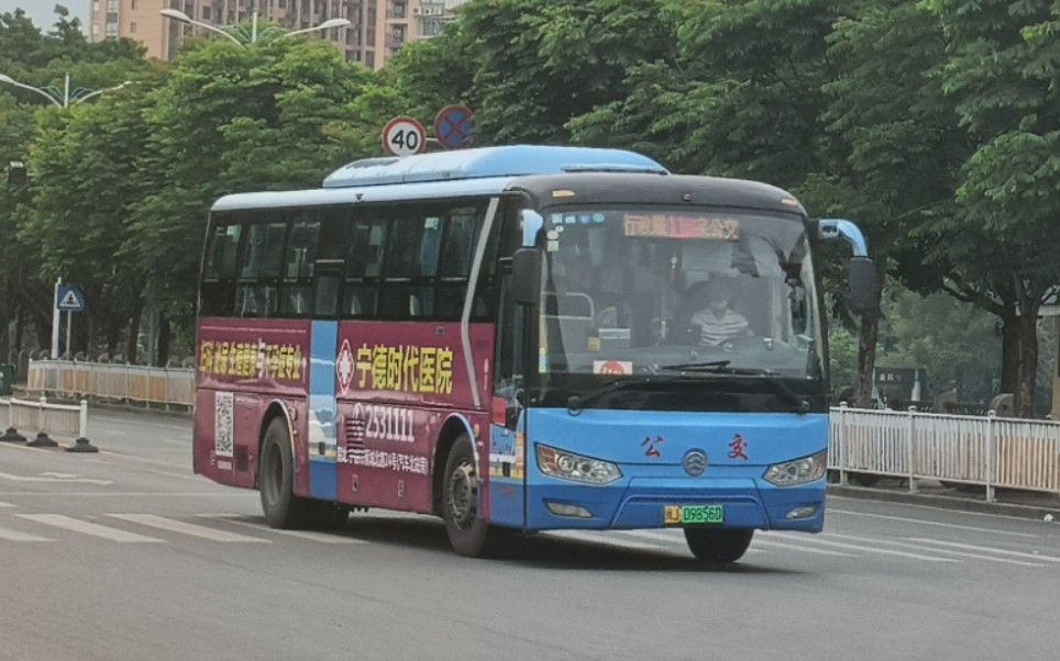 【nbt】【"11"迎"11" 韩莲共发展】福安公交11路 市政务服务中心