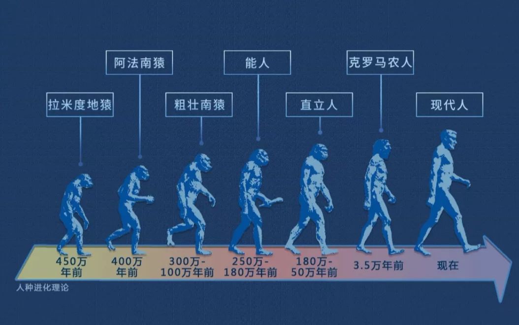 你更相信神创论还是进化论?为何现在很多人质疑进化论?