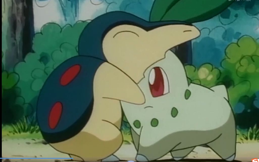 神奇宝贝菊草叶小锯鳄火球鼠的探险之旅