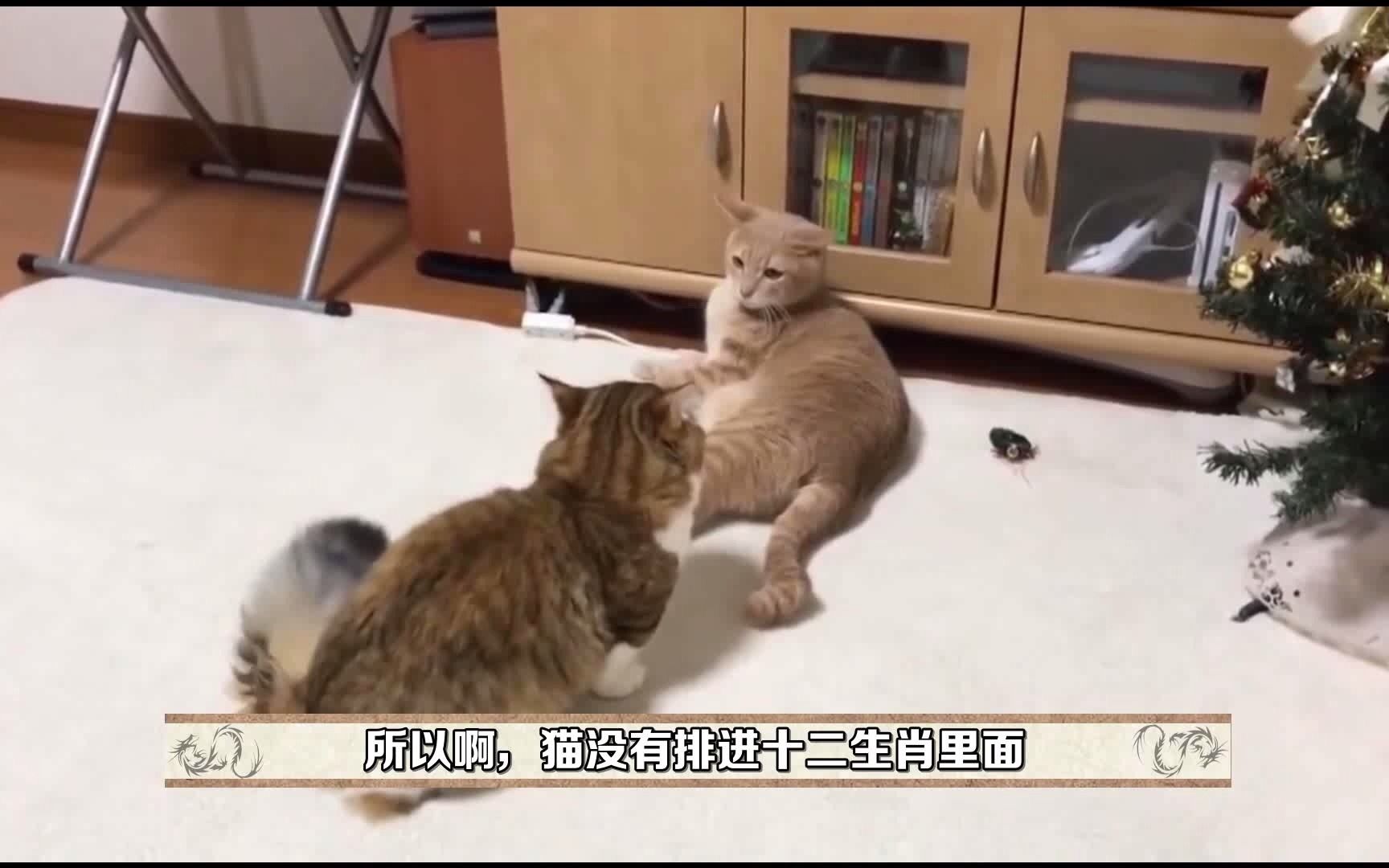 [图]十二生肖背后的传说故事，猫没排上名理所当然