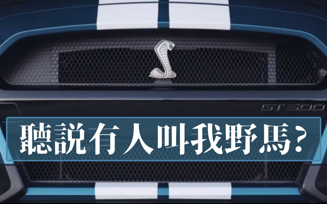 福特最强2020版SHELBY蟒蛇GT500,听说有人叫我野马?哔哩哔哩bilibili