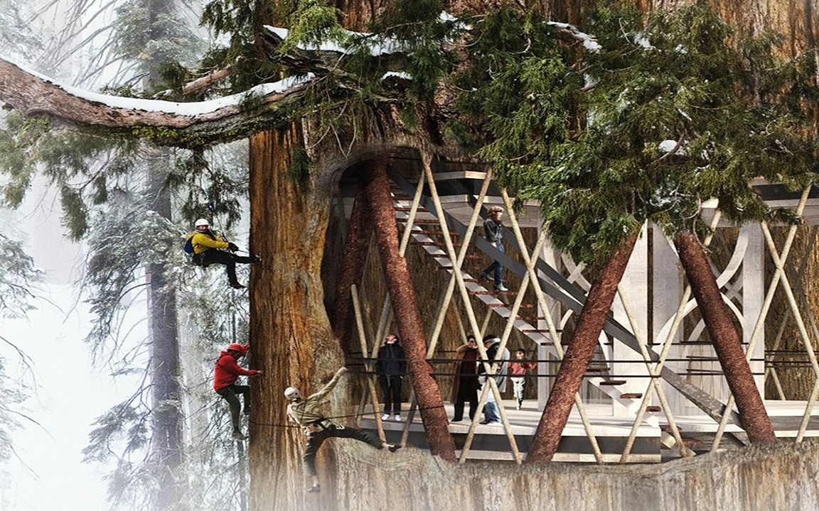 [图]够创意！老外挖空千年巨树建房子，打造未来生活！