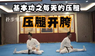 Download Video: 武术基本功之压腿开胯篇 跟练 每天都要压的腿 正压腿 侧压腿 后压腿 拉腿 体前屈 竖叉 横叉 耗胯 马步压胯 扑步 丁步