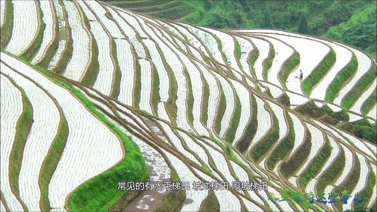 水土保持这些事儿 | 梯田,颜值与实力并存哔哩哔哩bilibili