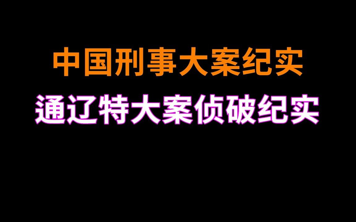 通辽特大案侦破纪实  中国刑事大案纪实  刑事案件要案记录哔哩哔哩bilibili