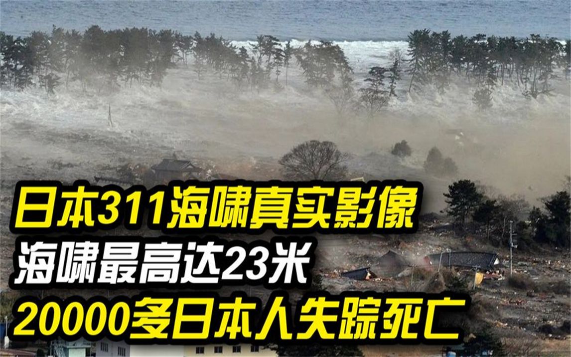 日本海啸311图片