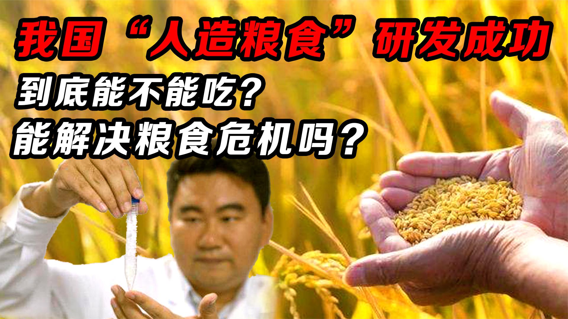 我国“人造粮食”研发成功,能吃吗?此项突破能解决粮食危机吗?哔哩哔哩bilibili