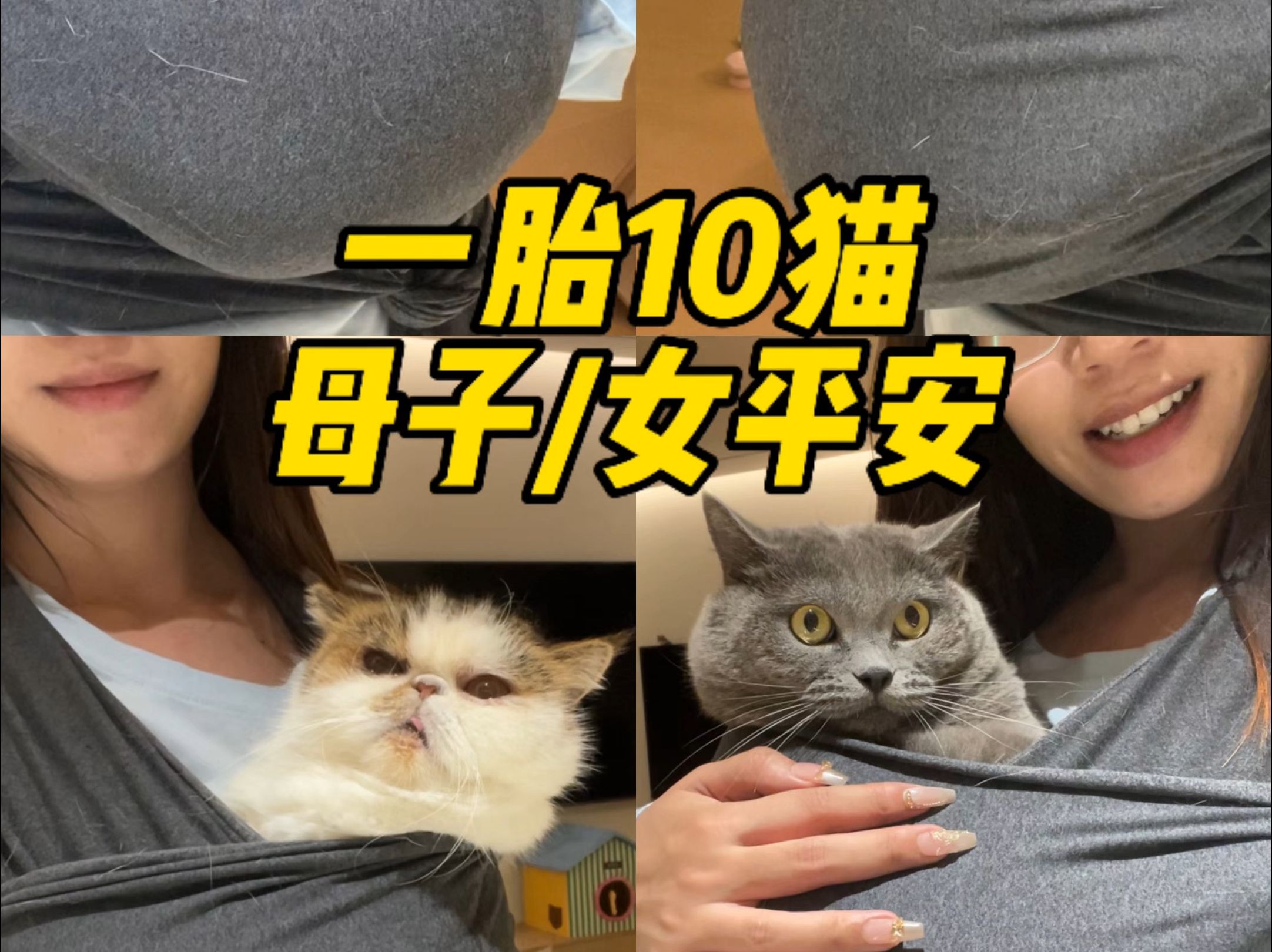 贡献今年最好用的猫包!婴儿用品天才用法哔哩哔哩bilibili