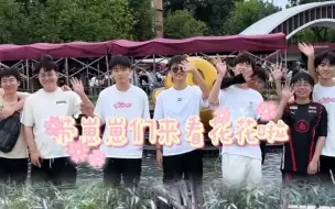 Tải video: 【AG菲菲抖音】早起看花花去咯~