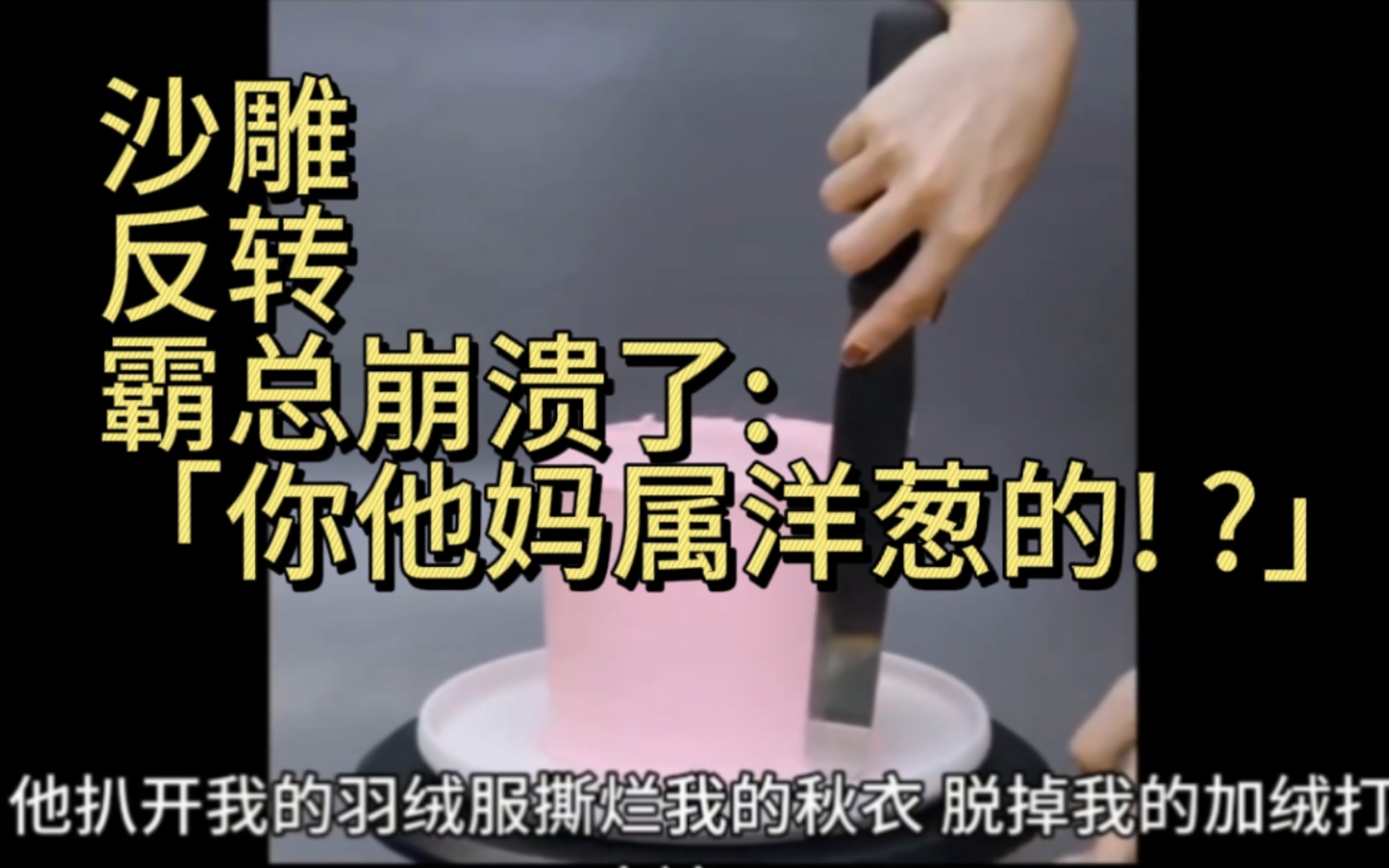 深夜,霸总把我压在床上霸王硬上弓.他扒开我的羽绒服,撕烂我的秋衣,脱掉我的加绒打底裤.....霸总崩溃了:「你他妈属洋葱的! ?」哔哩哔哩bilibili