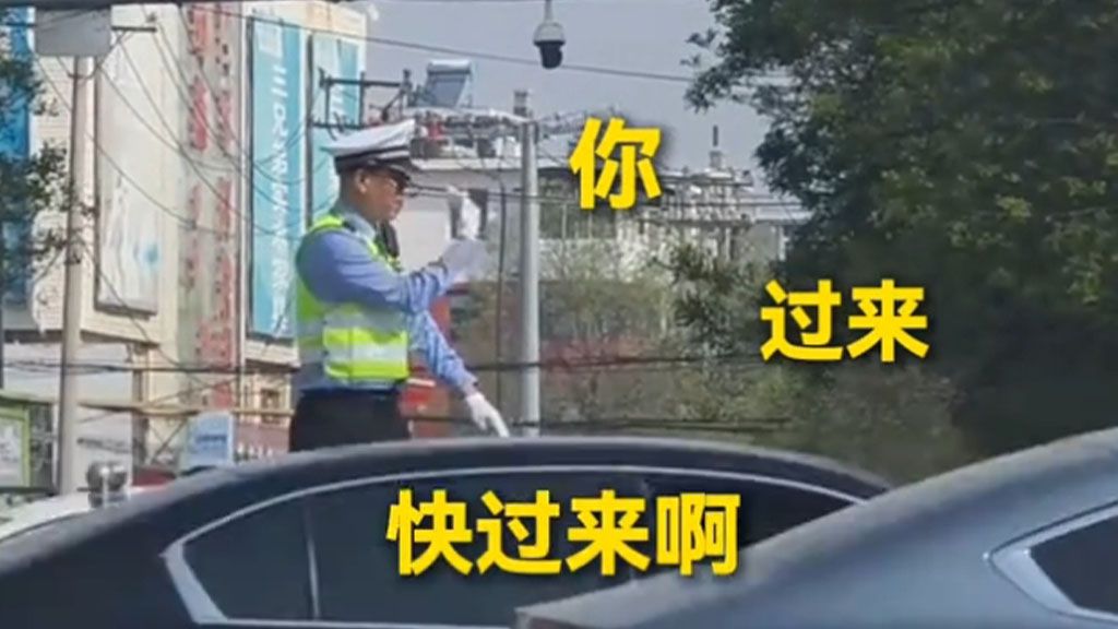 我一个没学过驾照的都看懂了！😂