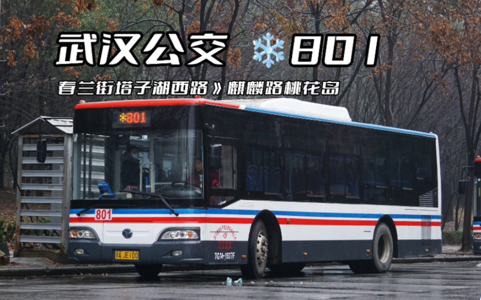 武汉市公交801路线图图片