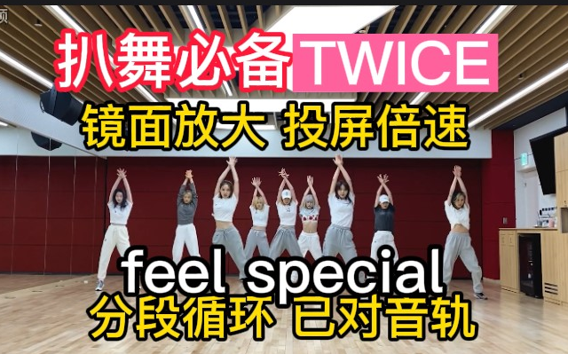 [图]【扒舞必备】(补档)TWICE《feel special》分段循环 镜面放大