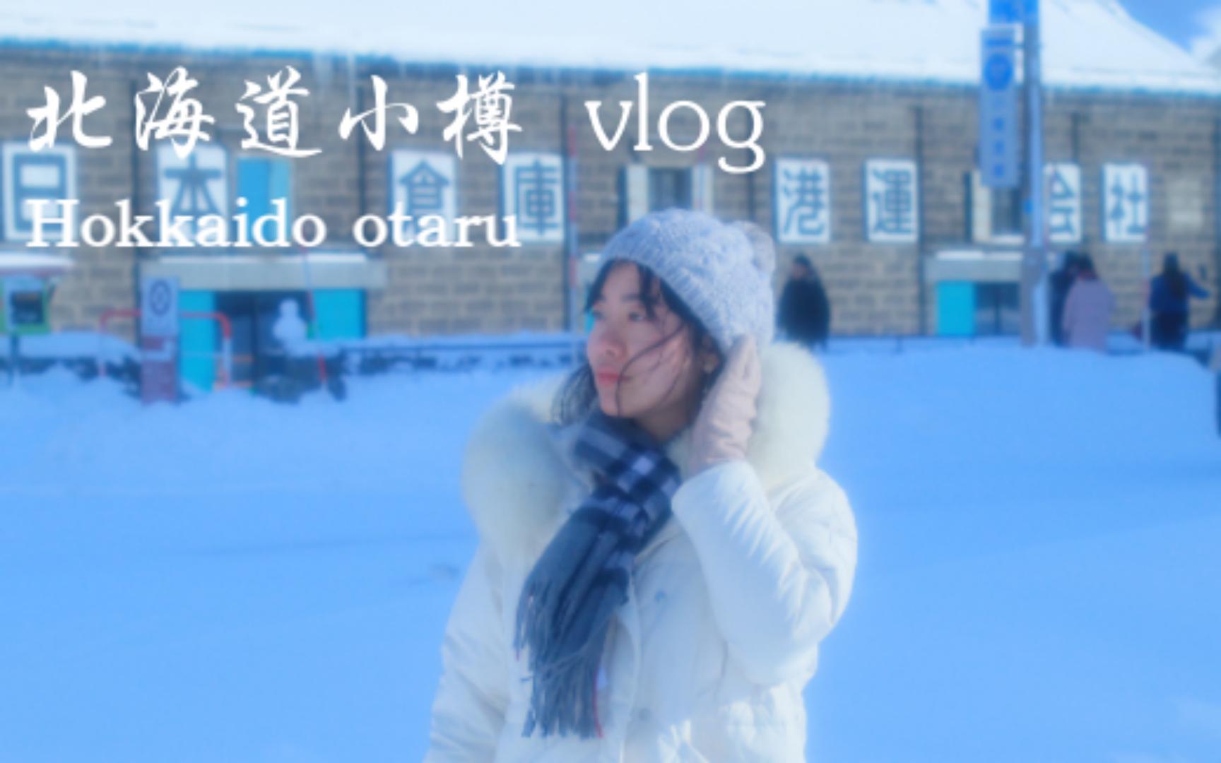 北海道小樽vlog | 情书圣地巡礼 | 书写我们记忆中的浪漫 | 天狗山、小樽运河、船见坂哔哩哔哩bilibili