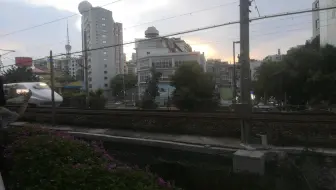 D3655行驶在广九线上