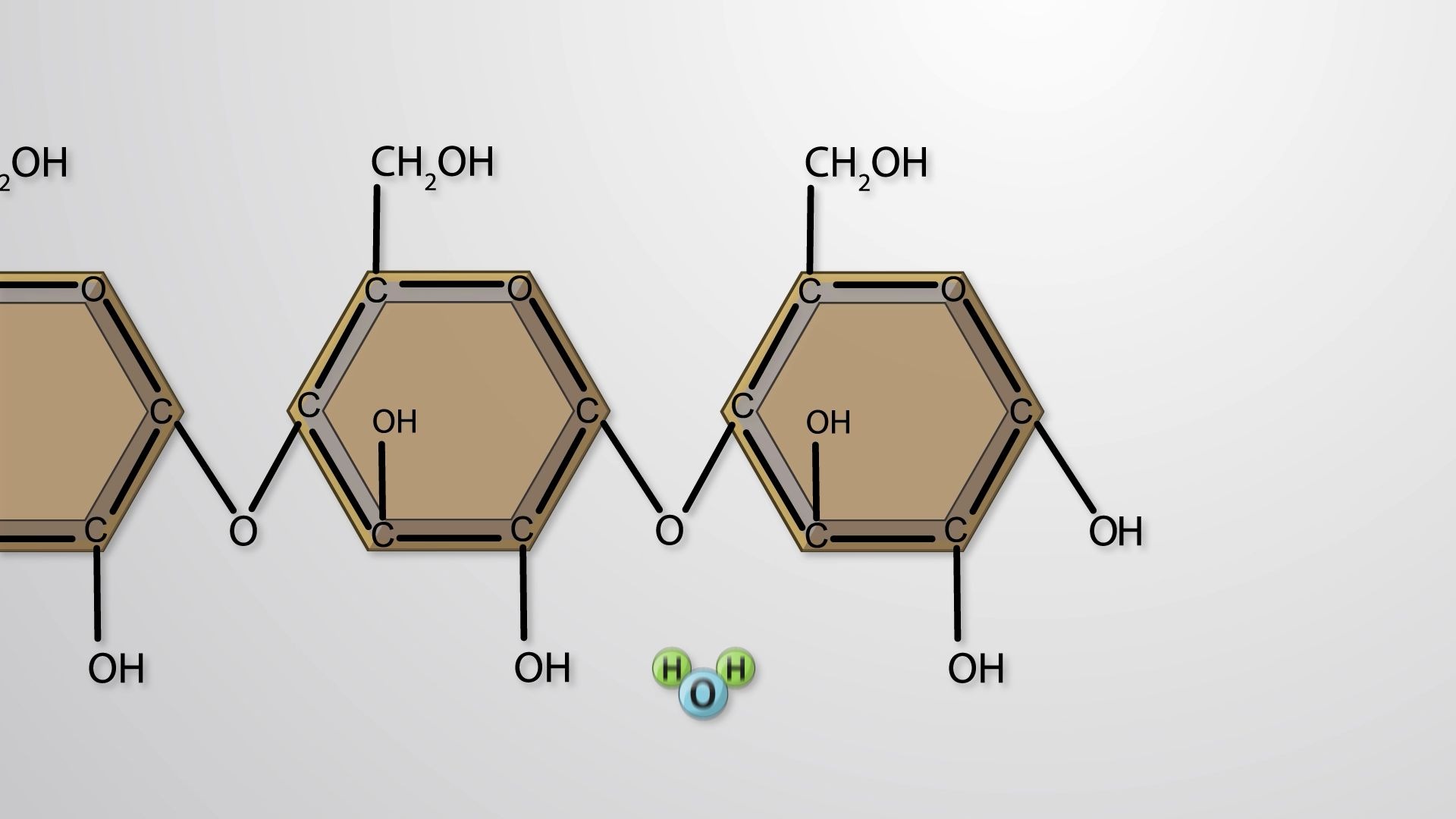 【jove】高分子 3. 5脱水合成/dehydration synthesis