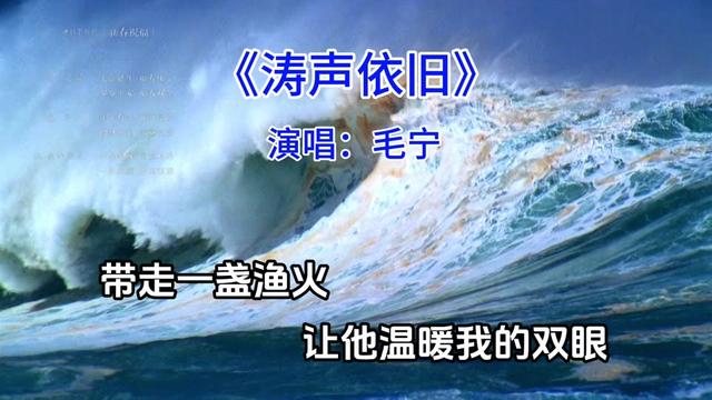 毛宁涛声依旧歌曲(毛宁涛声依旧歌曲下载)