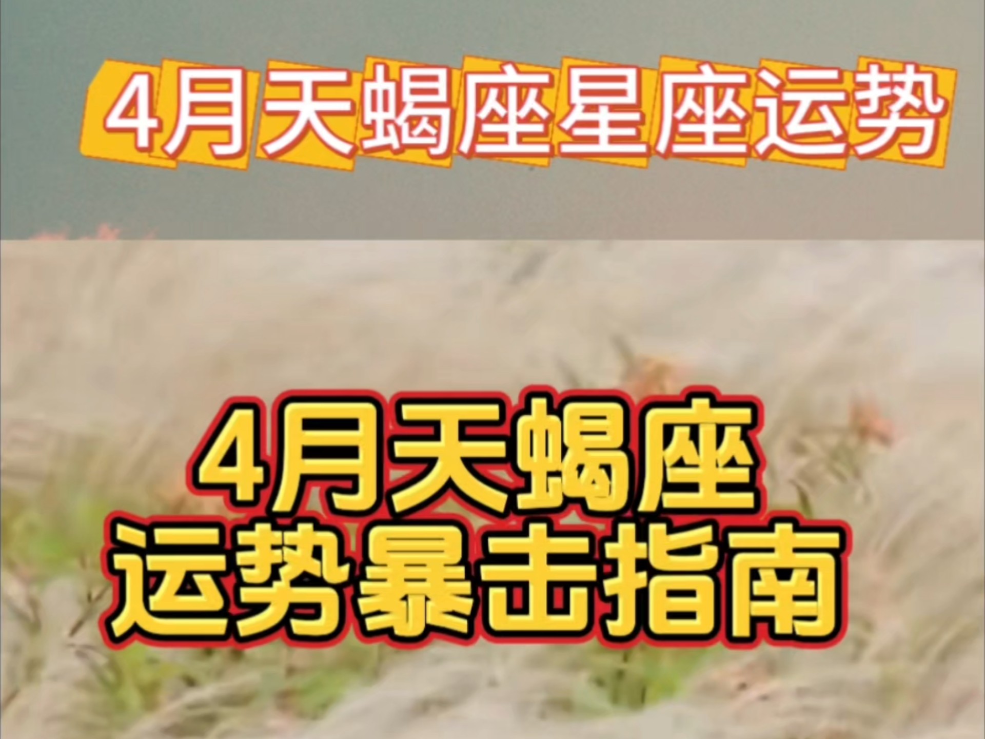 生肖羊天蝎座今年运势(生肖羊天蝎座今年运势怎么样)