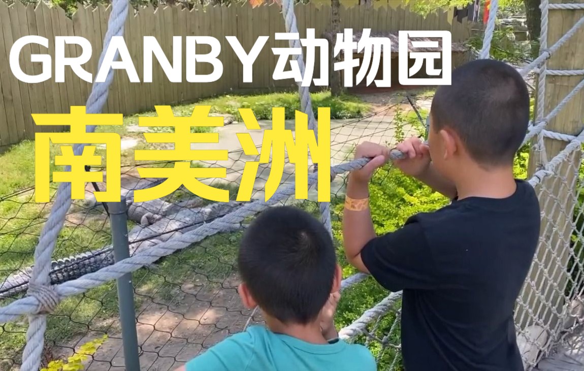 [图]🇨🇦很大的动物园 ZOO GRANBY 第二部分是南美区 天气不错孩子们很喜欢#动物园的动物